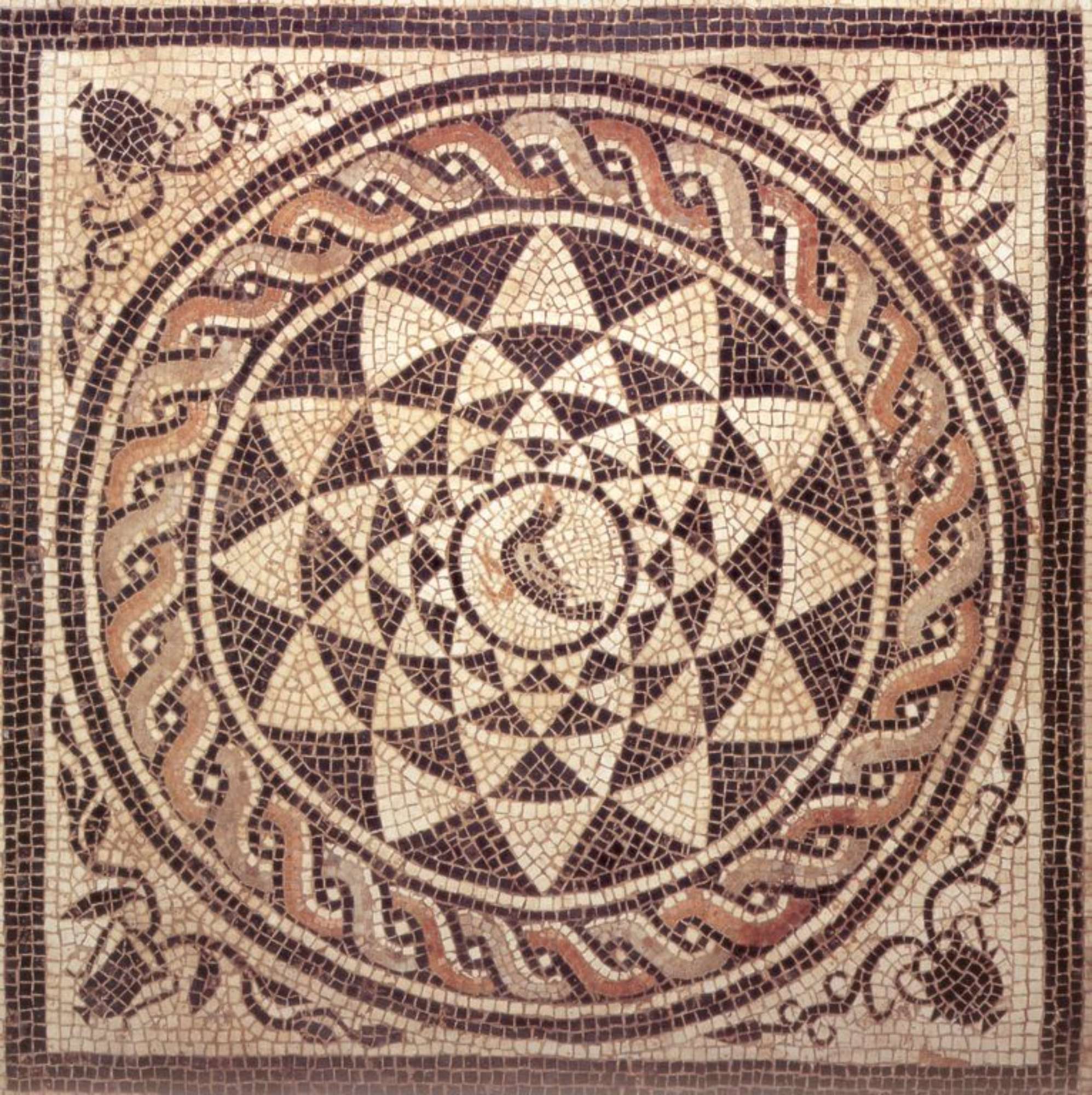 Emblema musivo policromo con rosone centrale.
Polychrome mosaic emblem with a central rosette.
